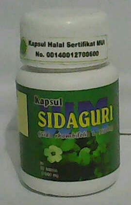 Sidaguri – Kapsul Sidaguri | herbalindonesiaterpercaya